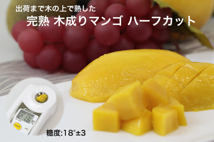 出荷まで木の上で熟した、完熟 木成りマンゴ ハーフカット I.Q.F 1kg 出荷まで木の上で熟した、完熟 木成りマンゴ ハーフカット I.Q.F 1kg